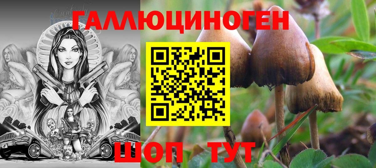 Псилоцибиновые грибы мухоморы  Вход с VPN  Туймазы  Галлюциногенные грибы GOLDEN TEACHER 